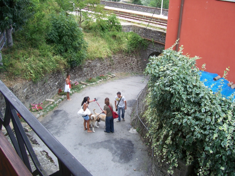  Image name: Persone020.jpg 
 width: 800 pixel 
 height: 601 pixel 
 Size: 509695 bytes 
 Click to enlarge 